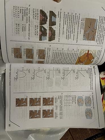 rus dili 8: Coğrafiya – Abituriyentlər üçün Tapşırıqlar Toplusu (1-ci hissə) — 2