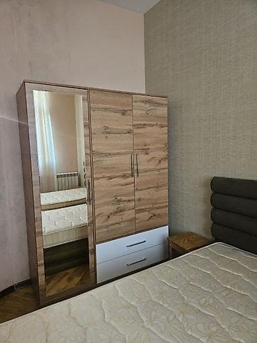 taxta ref: İşlənmiş, 3 qapılı, Güzgülü, Qəhvəyi, Taxta, Açılan, Düz dolab — 1