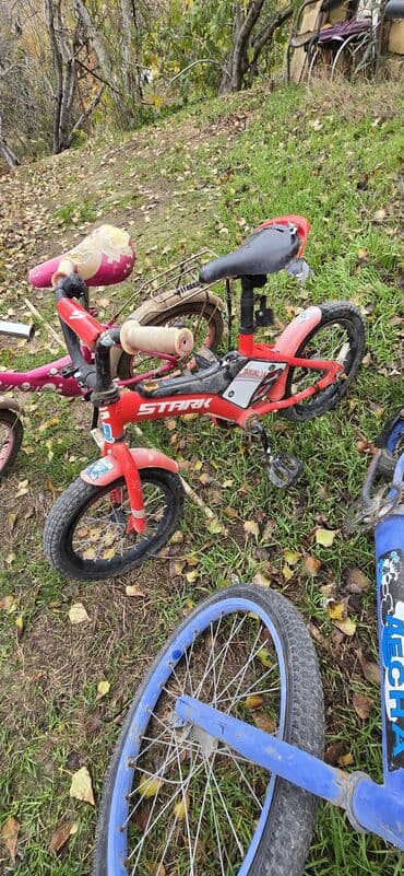 сколько стоит велосипед скоростной: Uşaq velosipedləri dəsti - Müxtəlif modellər: STARK Tanuki 14 — 2