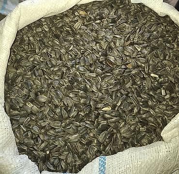 gunəbaxan yağı qiyməti: Məhsul: Günəbaxan tumu (qara zolaqlı) Təsvir: - Təbii günəbaxandan — 3