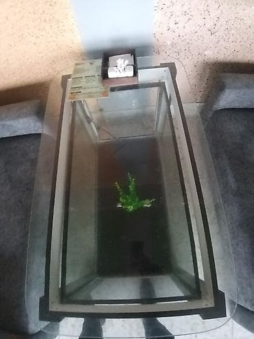 Jurnal masası, Açılmayan, Şüşə, Dördbucaq masa