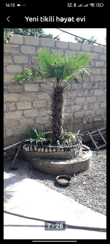 nurlan eliyev: 3 otaqlı, 120 kv. m, Yeni təmirli — 15