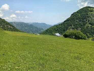 bakı tikiş evi əlaqə nömrəsi: 50 sot, Mülkiyyətçi, Kupça (Çıxarış) — 7