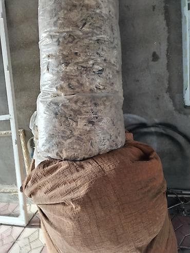 parca rengleri: Məhsul: Yunun (qoyun yunu) böyük həcmli kisələrdə Təsvir: - Təbii — 1