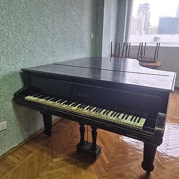 Royallar: Royal, Akustik, İşlənmiş, Ünvandan götürmə — 5