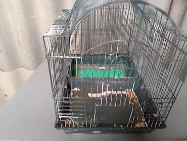 bülbül qəfəsi: Quş qəfəsi – iki bölməli, metal konstruksiya Məhsul təsviri: - — 5