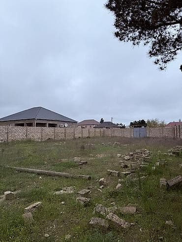 12 sot, Tikinti, Kupça (Çıxarış)