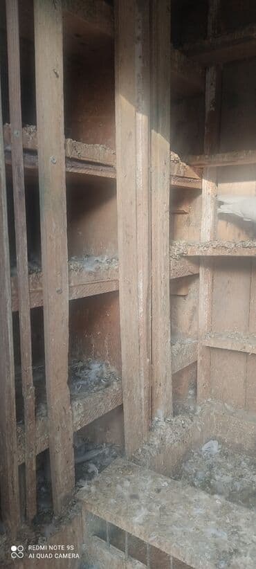 it yuvasi satilir: Quşxana Satlır — 5