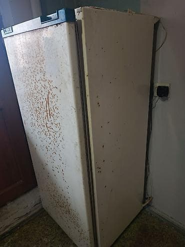 iwiq matoru: 1 qapılı Nord Soyuducu Satılır, rəng - Ağ — 4