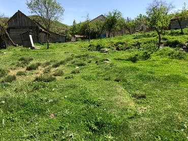 yeni əmlak sumqayıt: 30 sot, Kənd təsərrüfatı, Mülkiyyətçi, Kupça (Çıxarış) — 10