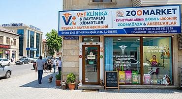 Heyvanlar: ZOOMARKET – Ev heyvanlarının baxımı, qrominq və baytarlıq xidmətləri — 3