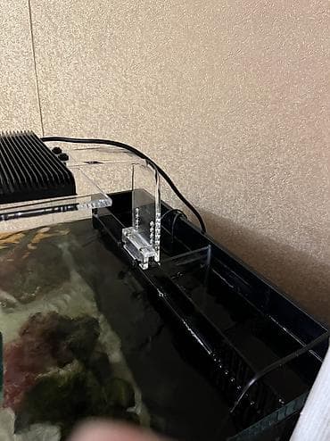 Quşlar: Hazir okean akvariumu satilir icinde dashi qumu 3 ilbizi musherom — 10