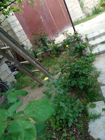 снять комнату в общежитии: Satilr: geniş və işıqlı otaq.2 otaq 1 zal metbex hamam ayaq yolu — 15