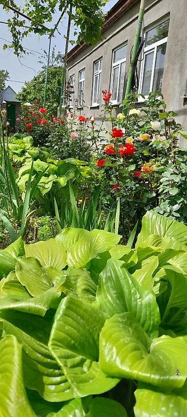 gence emlak satisi: Qusar, 190 kv. m, 7 otaqlı, Hovuzlu, Qaz, İşıq, Su — 3