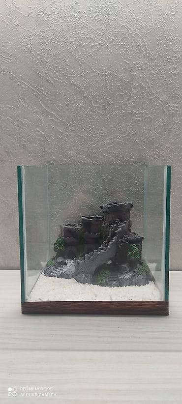 etibarlı əllərə verilir: Gördüğünuz akvaryum 3l 15x15x15olcudedir kvadrat formalı betta — 2