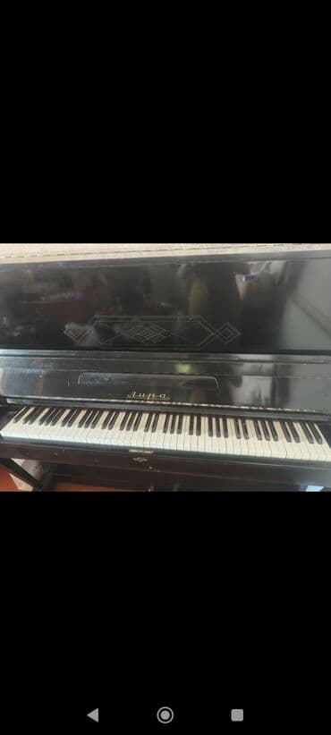 бу гантели в бишкеке: Piano, Akustik — 2