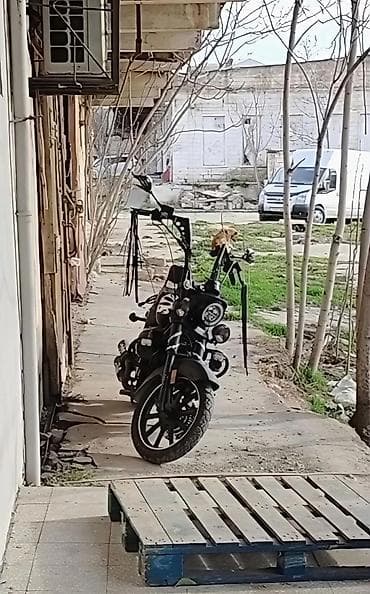 maped ucuz: Motonun heçbir problemi yoxdur. Sürülmədiyi üçün satılır. 250 cc Tufan — 2