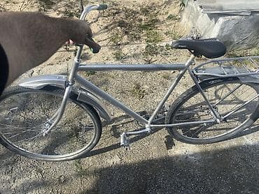 velo kask: Şəhər velosipedi Start, 28", sürətlərin sayı: 1 — 1