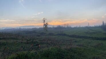 sumqayıt heyet evi: Ünvan: Qusar şəhəri Ləyər kəndi (ləzgi ləyər) 1hk 68 sot bağ yeri — 30