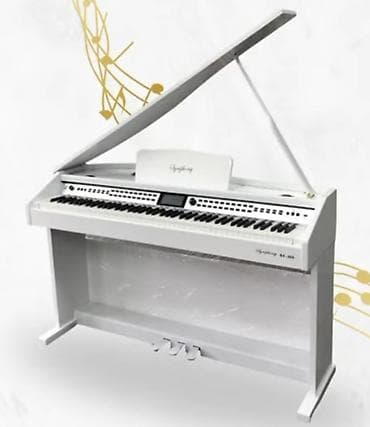 pianolar: Royal, Rəqəmsal, Yeni, Pulsuz çatdırılma — 5