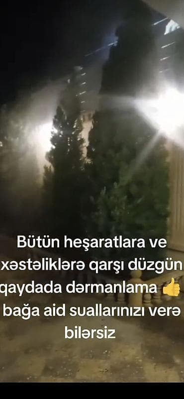 lan: Tikinti və Təmir.Hörgü, suvaq, şpaklovka, beton və tamet işləri. ​Bağ — 7