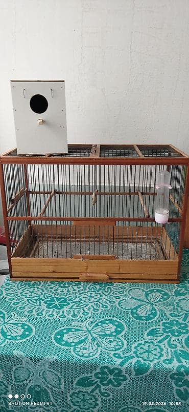 Digər heyvanlar: Taxta quş qəfəsi + yuvalıq - Material: möhkəm taxta karkas və metal — 1