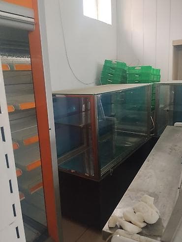 dondurucu soyuducular: Mağaza üçün avadanlıqlar dəsti Məhsul təsviri: - Şüşə vitrinlər — 4
