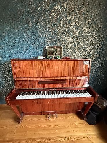 Piano, Belarus, Akustik — 1