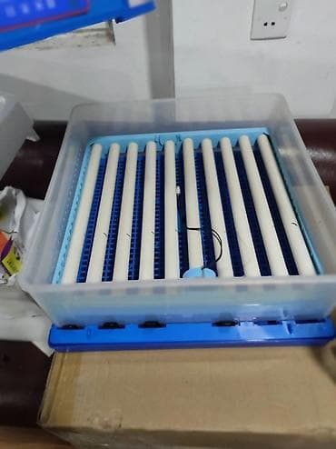 ınqbator: Çin, Fabrik istehsalı, Tam avtomat, Bütün növ quşlaq üçün — 3