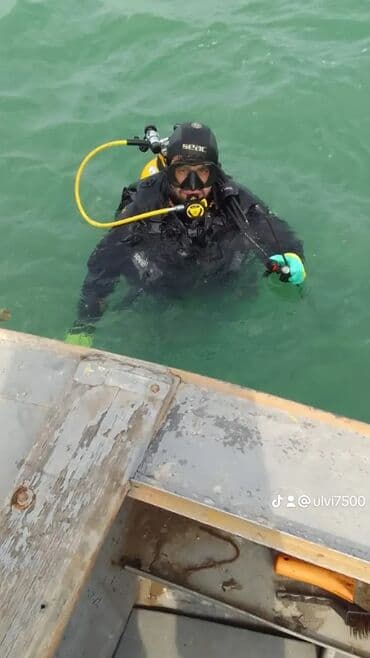ördək balası və cücə: Salam Təmiz qaradolaq qomral kərə qoç satiram heyvan 9 ayliqdir martin — 10