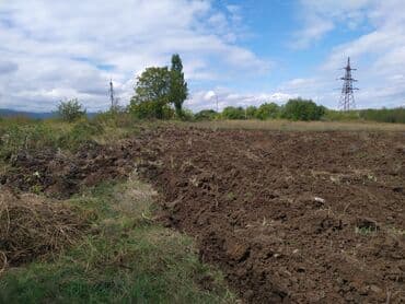 купить участок в бузовнах: 40 sot, Mülkiyyətçi, Kupça (Çıxarış) — 2