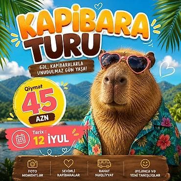 qapi ustu asmalar: Cənuba Gəzinti turları – Astara, Lənkəran-Lerik, Şəki və Kapibara — 4