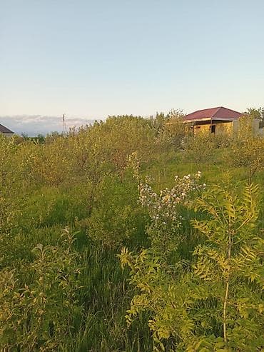 kənd əhmədli: 6 sot, Biznes üçün, Mülkiyyətçi, Kupça (Çıxarış) — 7