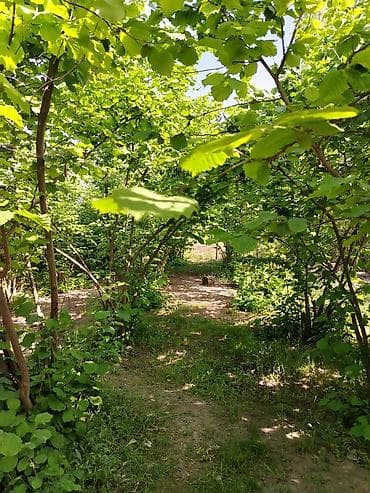 sumqayitda ucuz torpaq satilir: 3 otaqlı, 156 kv. m, Kredit yoxdur, Yeni təmirli — 7