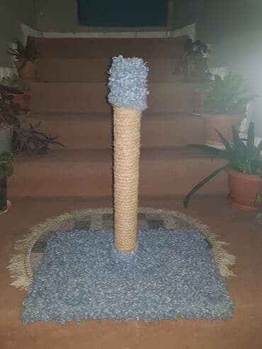 pişik yem qabı: Pisiye aid her sey Suqabi yemqabi Daraqlar dirnaqtutan Oyuncaqlar — 3