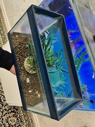 yumru akvariumlar: Dördbucaq akvarium, Boş, 7 l, Ödənişli çatdırılma — 4