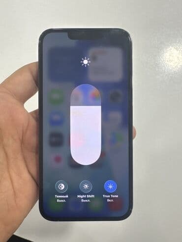 IPhone 13 Pro, 256 GB, Qara, Face ID