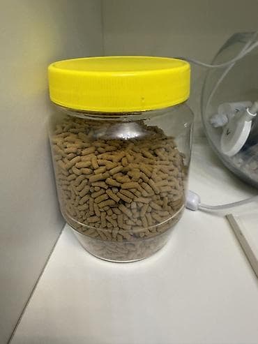 balıq yemleri: Dördbucaq akvarium, Balıqlarla birlikdə, 240 l — 7