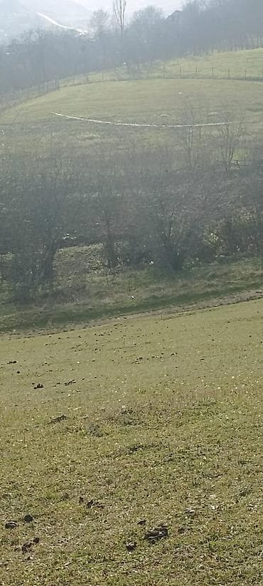 kohnə suraxanı: Kənd təsərrüfatı — 8