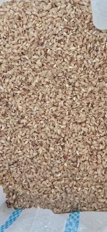 ✅ Təbii AĞDAŞ DÜYÜSÜ – Yerli və Keyfiyyətli, Topdan Satış Ənənəvi