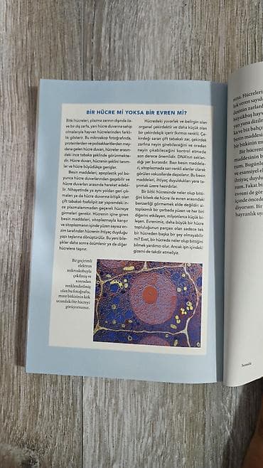 bil: Məhsul: Kitab – “Besin Maddələriylə Takım Olmak: Organik Bahçecilikte — 3