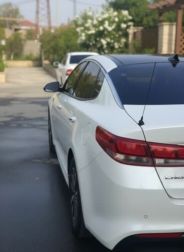 Tecili satılir yep yeni elaqe-099-891-93-95