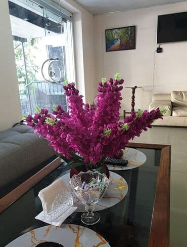 Spa və massaj xidmətləri - Ünvan: Ziya Bünyadov prospekti ətrafı