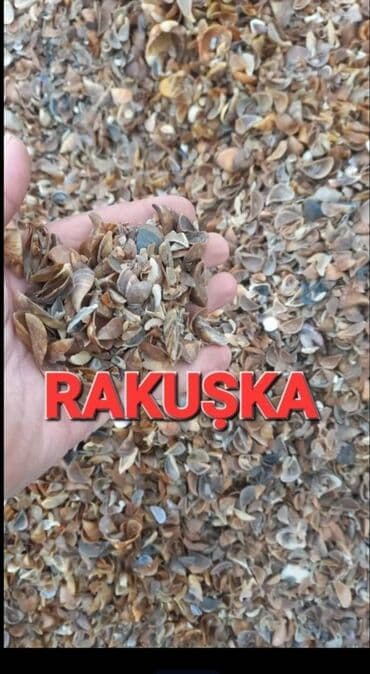 daş tozu qiymeti: Atsep,qirma das,qum satisi — 9