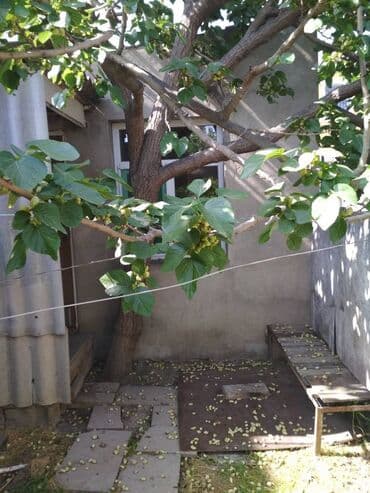 kirayə evlər xalqlar dostluğu: Xırdalanda 11 nömrəli məktəbin yerləşdiyi kücədə 1 otaqlı həyət evi — 6