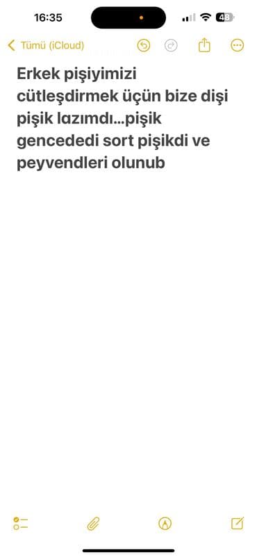 pişik cütləşmə: Pişiklər — 1