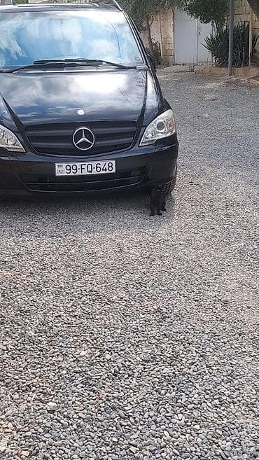 07 tekerleri: Mercedes-Benz Vito: 3 l | 2010 il Mikroavtobus — 1