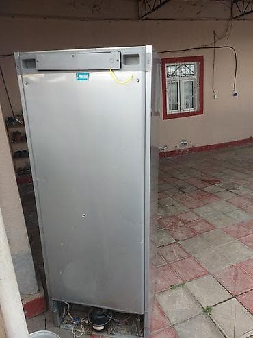 mini soyducular: Iki qapılı soyuducu - Korpus: gümüşü rəng, ön paneldə oval dekorativ — 2