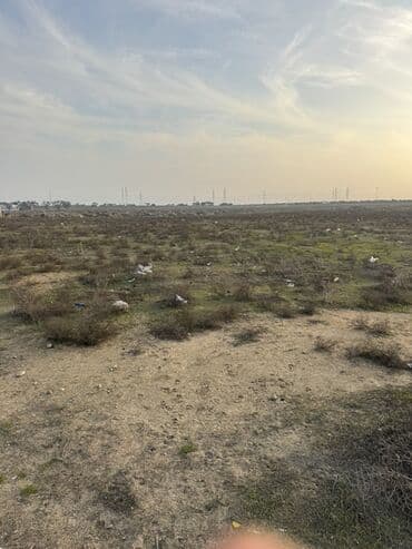 torpax sahesi: 100 sot, Biznes üçün, Makler, Kupça (Çıxarış), Texniki pasport — 9