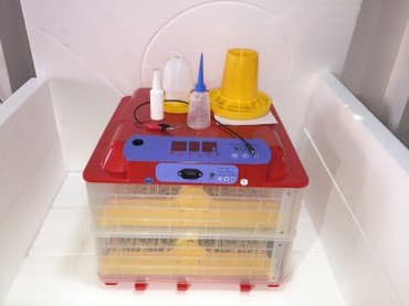 Süd sağan aparatlar: 50 yumurta, Çin, Fabrik istehsalı, Tam avtomat, Bütün növ quşlaq üçün — 1